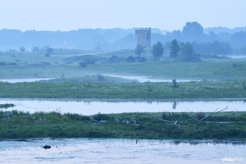 Natuurgebied Negenoord-Kerkeweerd