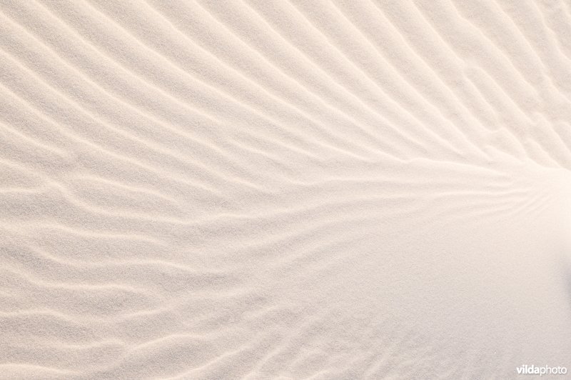 Zandsculpturen op het strand