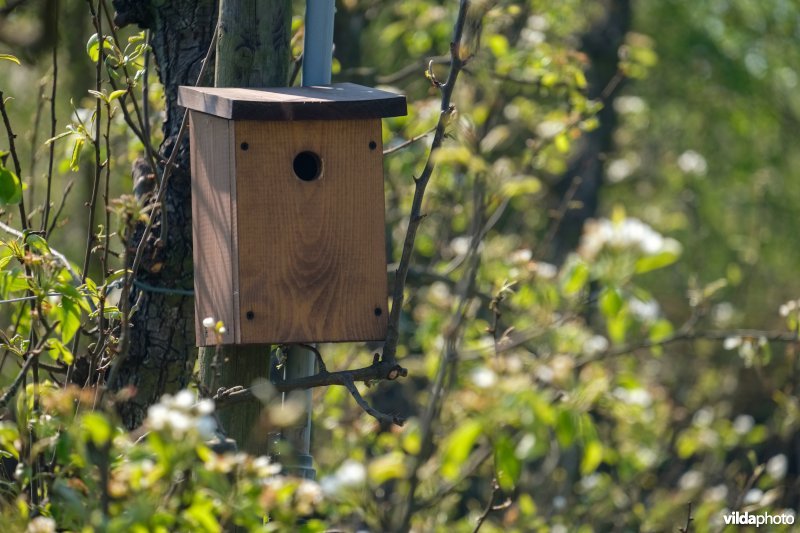 Vogelnestkast