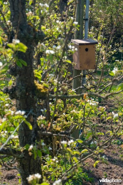 Vogelnestkast