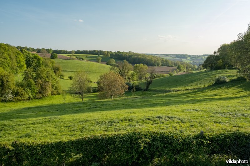 Landschap