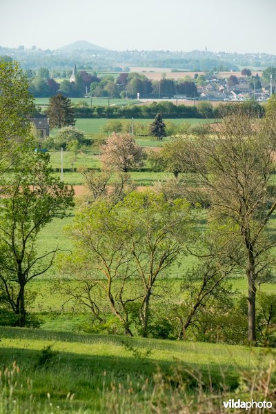 Landschap