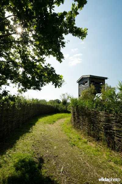 Vogelkijktoren