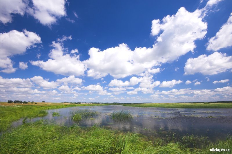 Vallei van de Biebrza