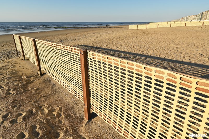 Zeewering in de vorm van een groene zeedijk