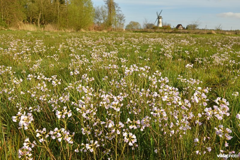 Vallei van de Oude Kale