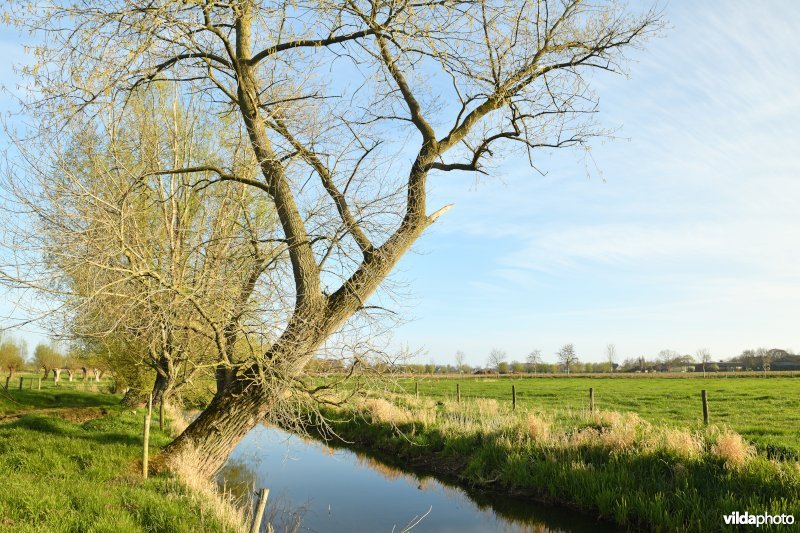 Vallei van de Oude Kale