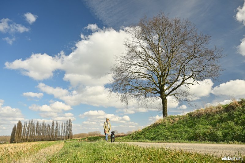Kouter in de Vlaamse Ardennen