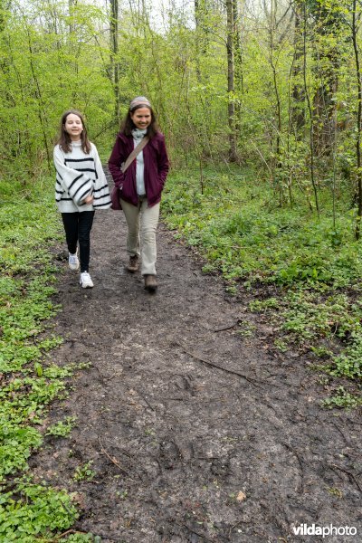 Wandelen in bos t'Ename