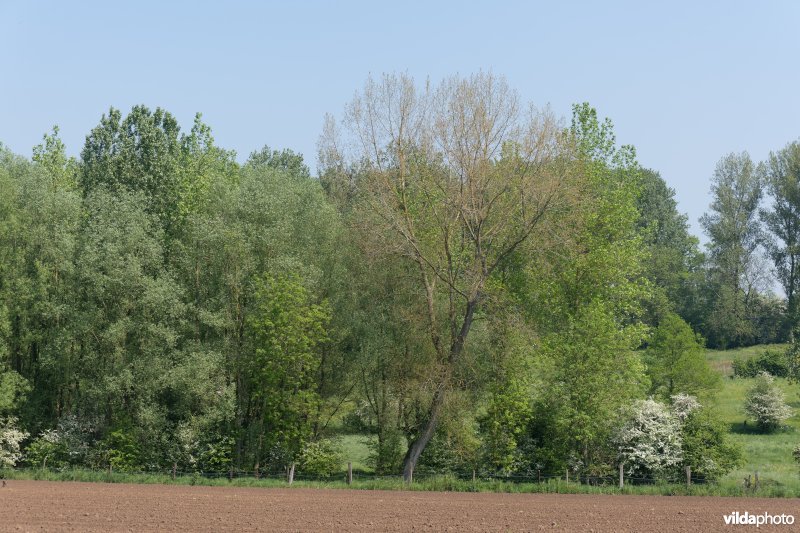 Kleinschalig landschap