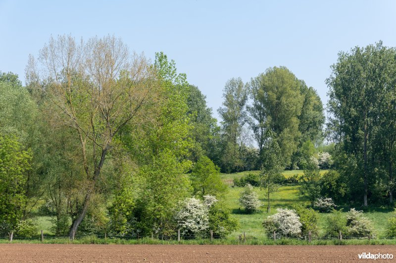 Kleinschalig landschap