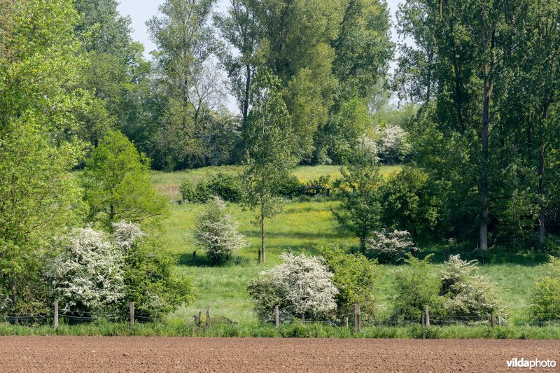 Kleinschalig landschap