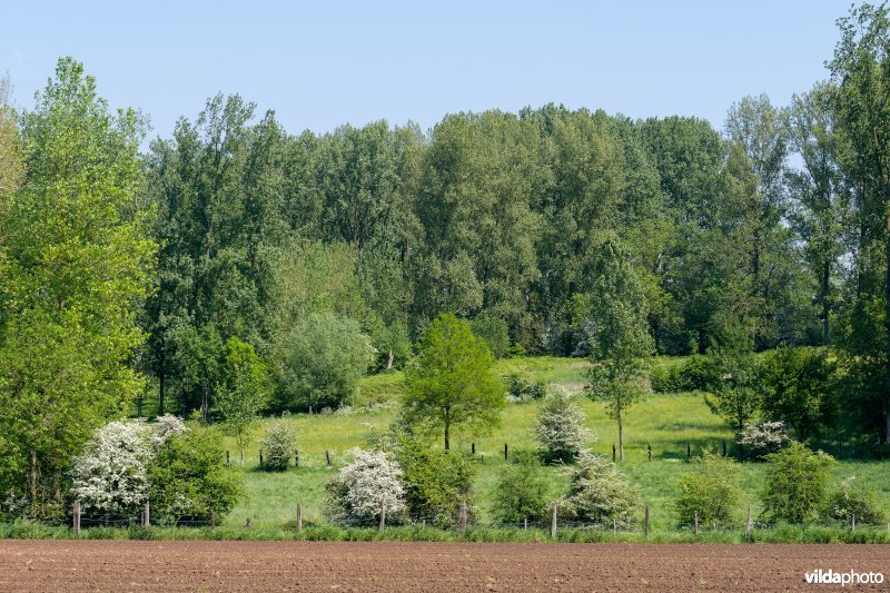 Kleinschalig landschap