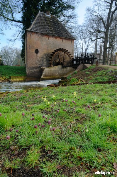 Landgoed Hackfort, Nederland