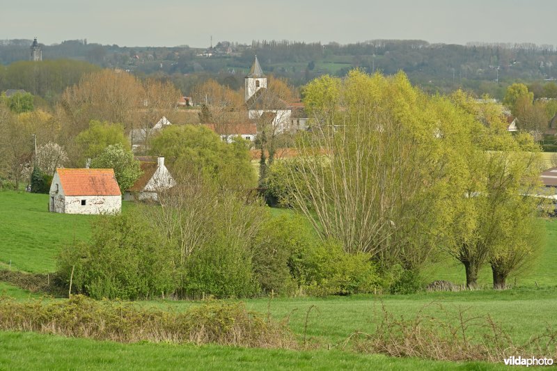 Moregem