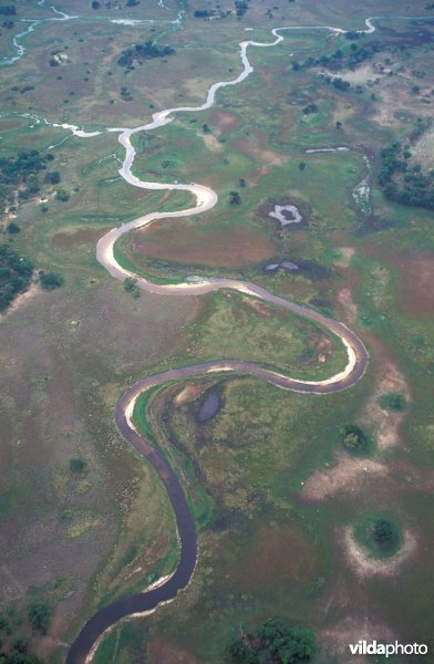 Kronkelende rivier Okavango
