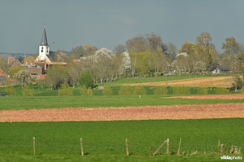 Sint-Maria-Horebeke