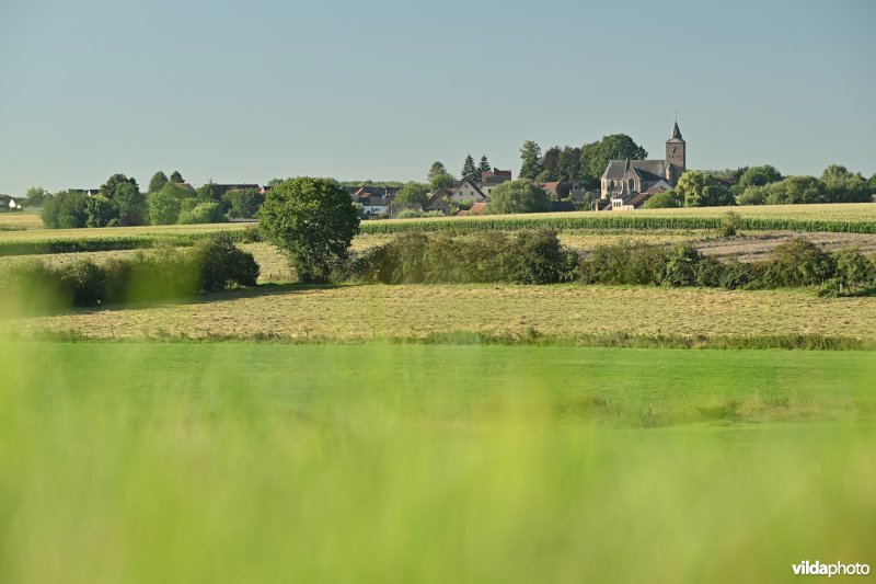 Hemelveerdegem