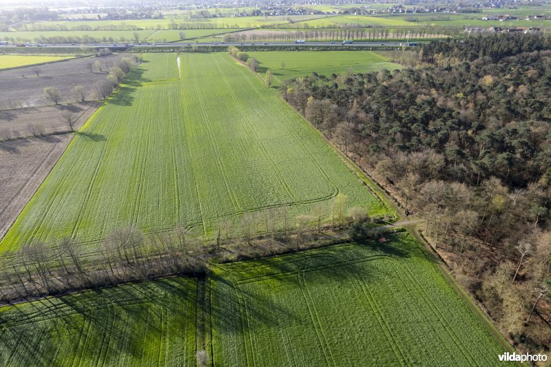 luchtfoto van het Provinciaal natuurdomein Hospicebossen