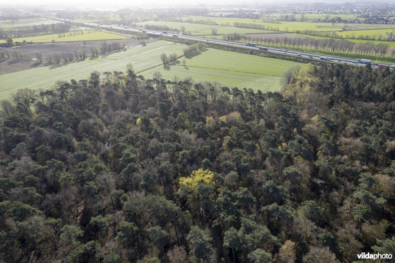 luchtfoto van het Provinciaal natuurdomein Hospicebossen