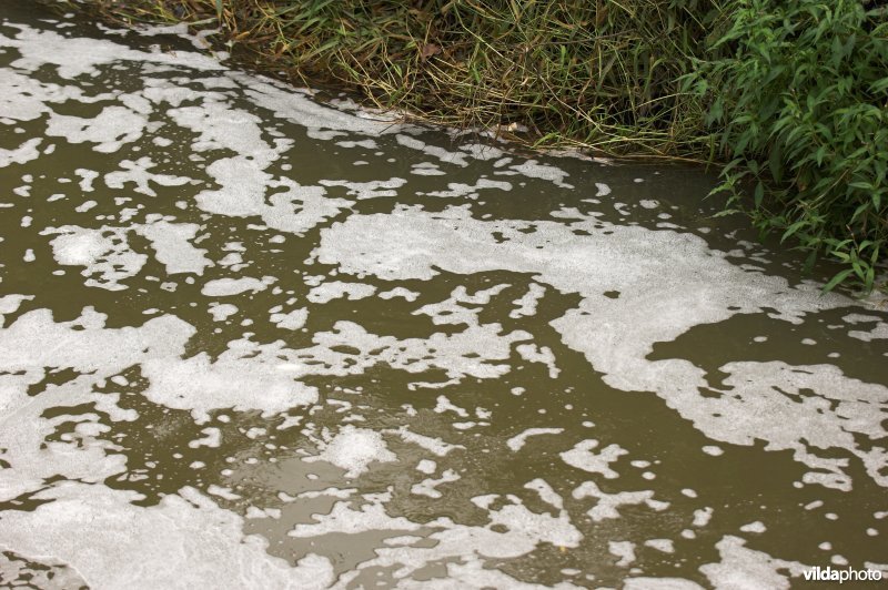 Vervuild water op de Herk