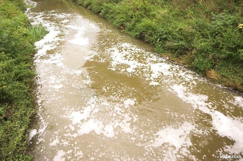 Vervuild water op de Herk