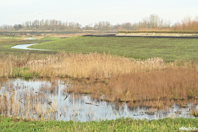 Vlassenbroekse Polder 