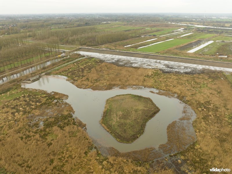 Vlassenbroekse Polder 