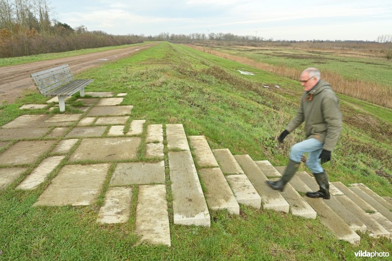 Vlassenbroekse Polder 