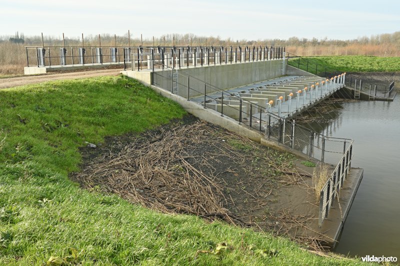 Vlassenbroekse Polder 