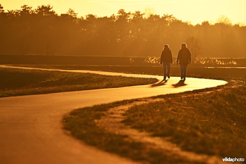 Polder van Lier