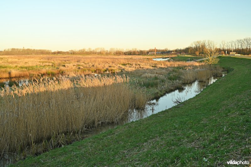 Polder van Lier (R)