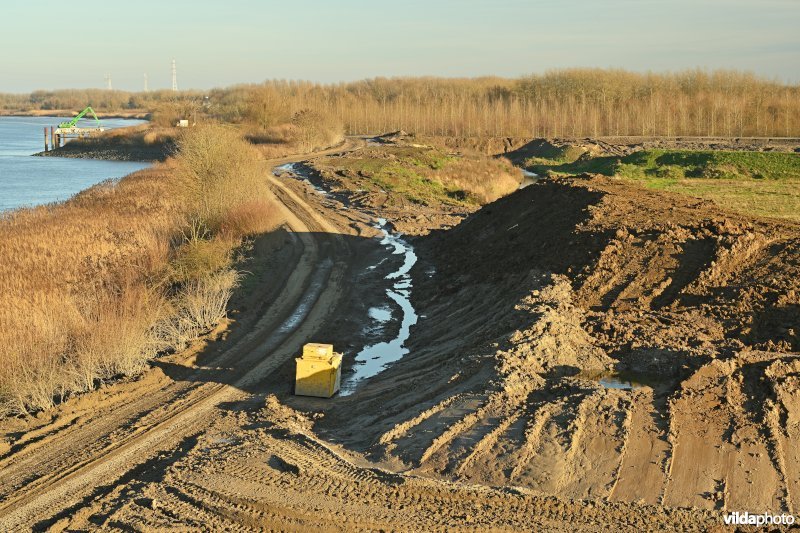 Groot Schoor in Bornem