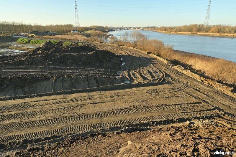 Groot Schoor in Bornem