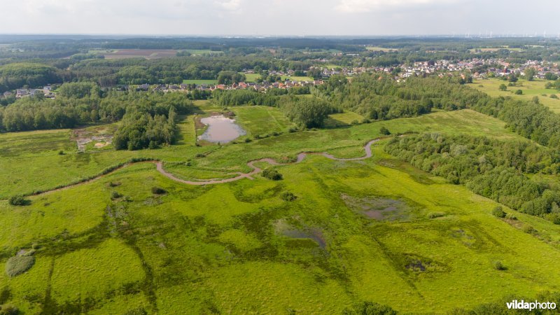 Zwarte Beek meandert door de vallei