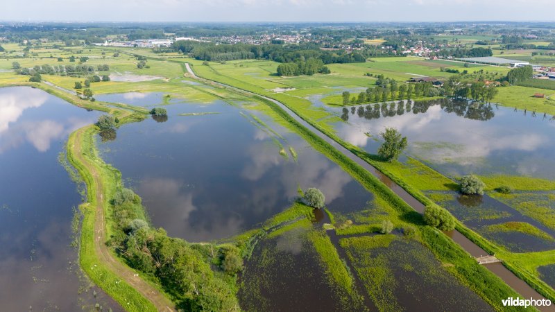 Wachtbekken rond het Schulensmeer is deels gevuld door overvloedige neerslag