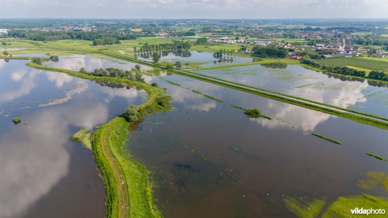 Wachtbekken rond het Schulensmeer is deels gevuld door overvloedige neerslag