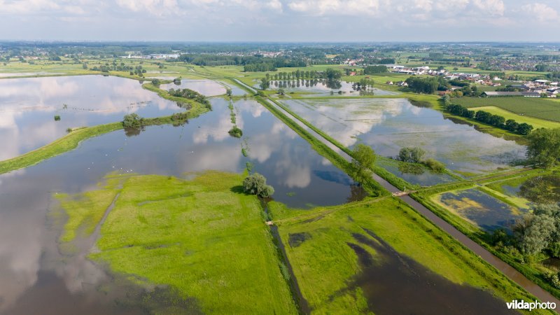 Wachtbekken rond het Schulensmeer is deels gevuld door overvloedige neerslag