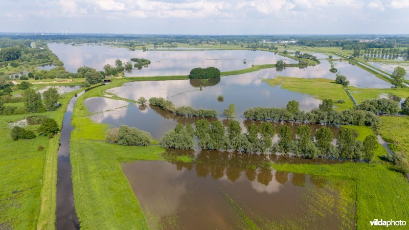Wachtbekken rond het Schulensmeer is deels gevuld door overvloedige neerslag