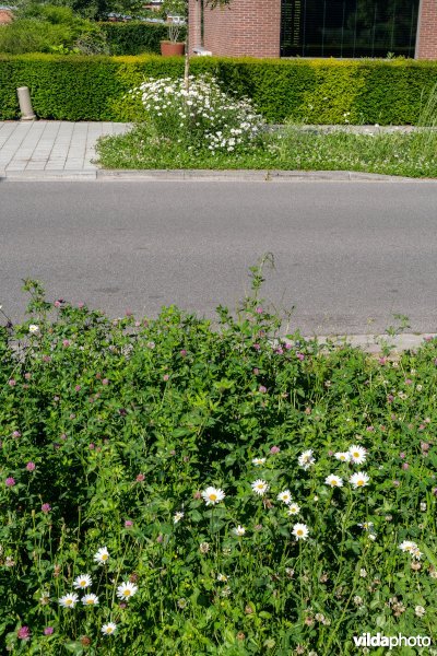 Een voetpad is deels vervangen door een wadi