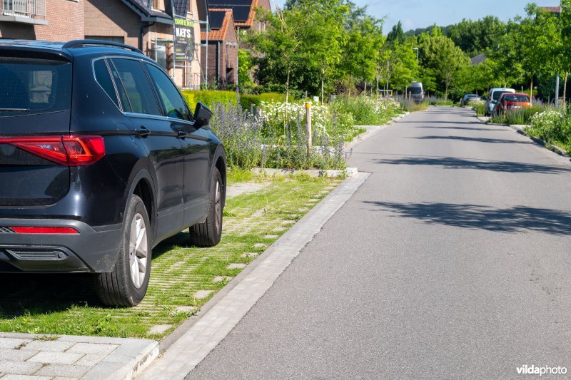 Parkeerstrook met infiltratie