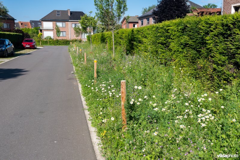 Een voetpad is vervangen door een wadi