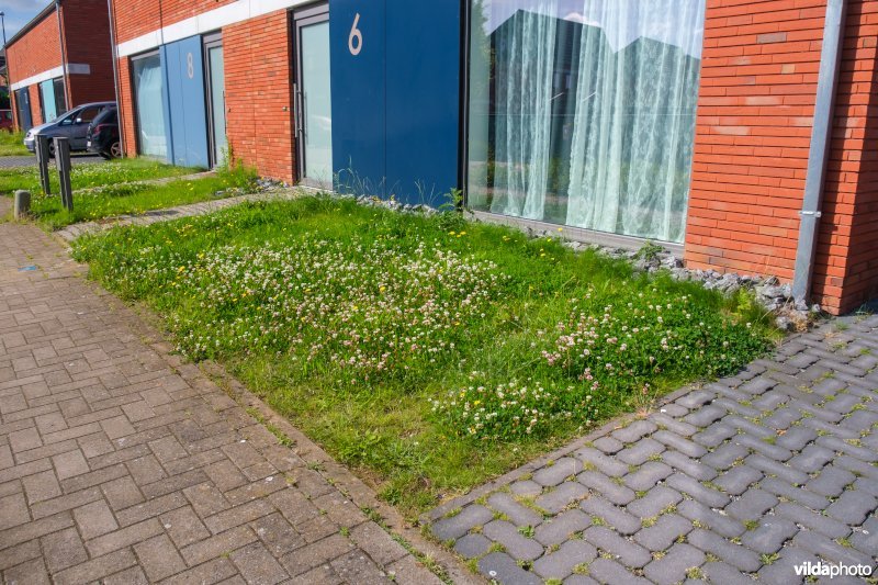Bloemrijk voortuintje met waterdoorlatende verharding
