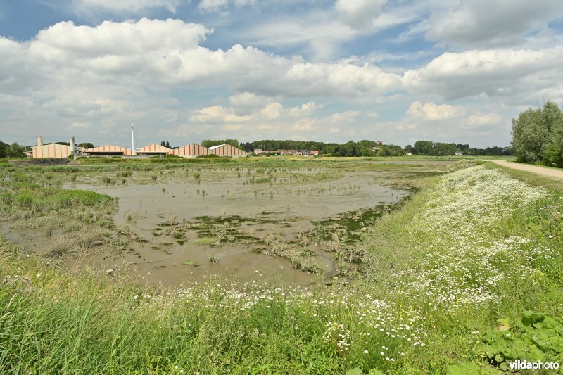 Klein Broek