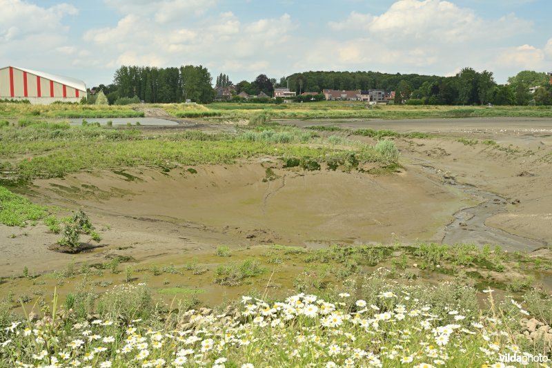 Klein Broek (R)