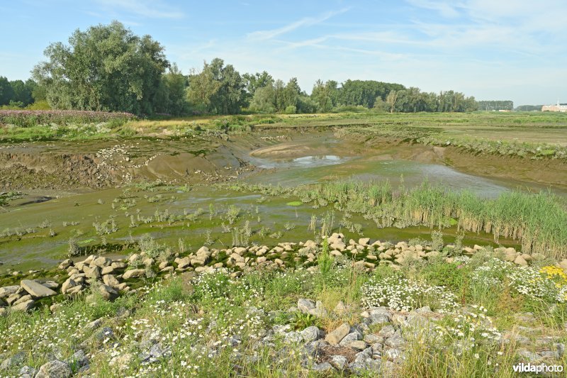 Klein Broek (R)