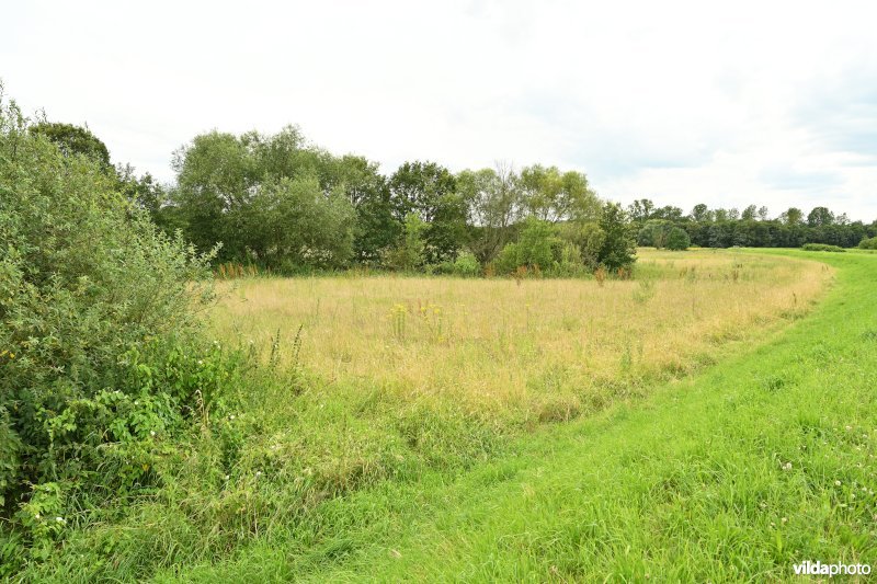 Demervallei: De Hammen 