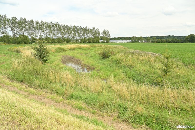 Demervallei: Meanders van Nieuwland