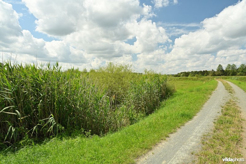 Demervallei: Rommelaar