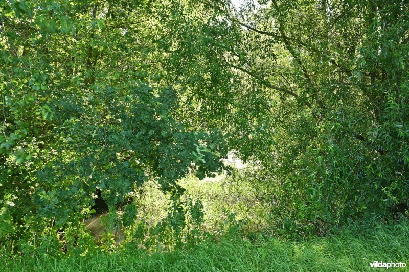 Demervallei: Molenstedebroek